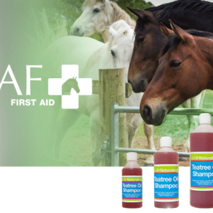 NAF NaturalintX Teatree Oil Shampoo 500ml