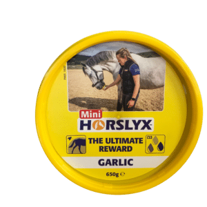 Horslyx Original Refill 650g